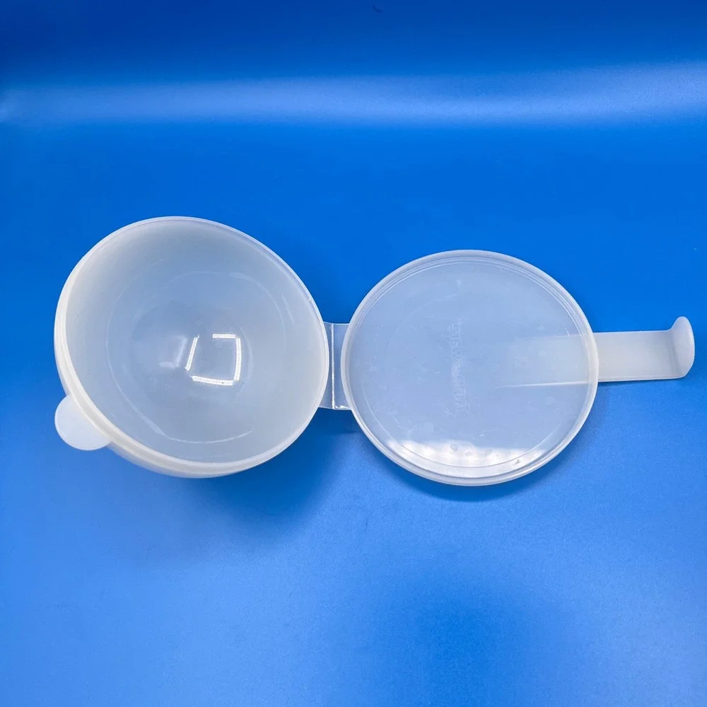Tupperware Forget Me Not onion/tomato keeper hanger vtg
